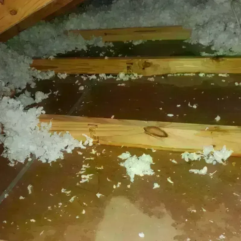 Best Attic Water Damage Service in Waldo, FL