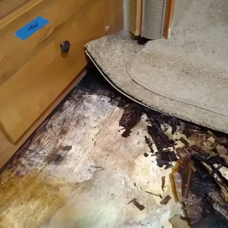 Wood Floor Water Damage in Waldo, FL